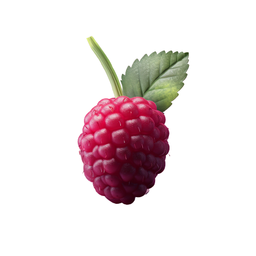 Boysenberry