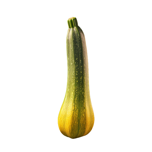 Summer squash