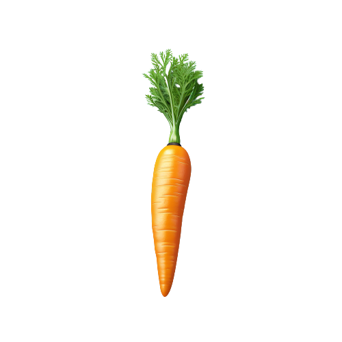 Carrot