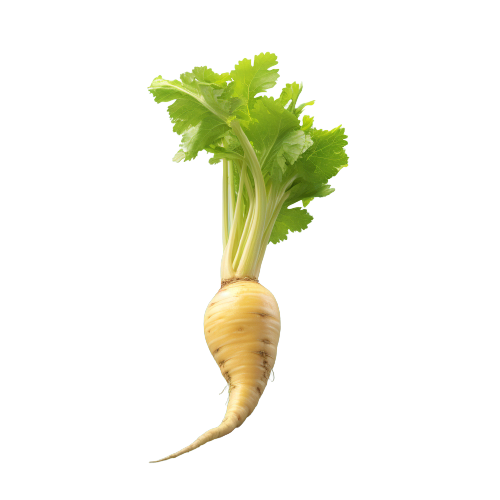 Parsnip