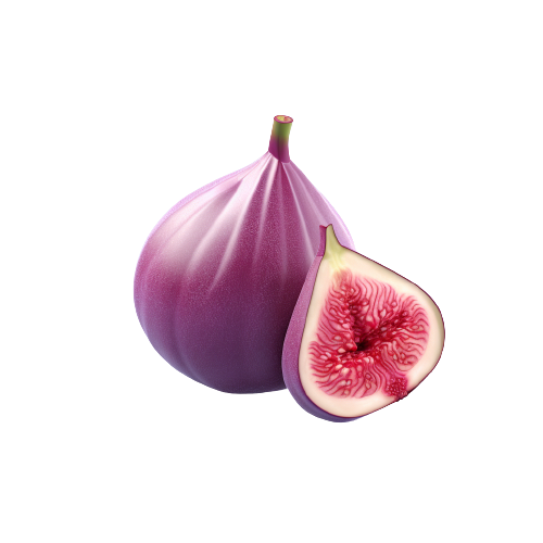 Fig