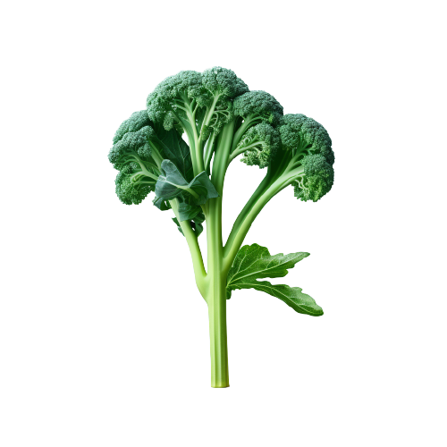 Broccoli rabe