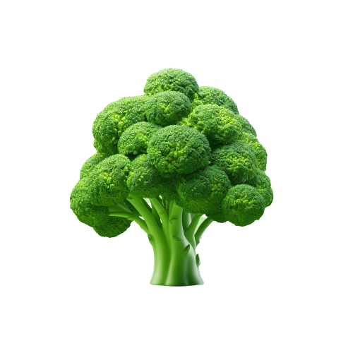 Broccoli