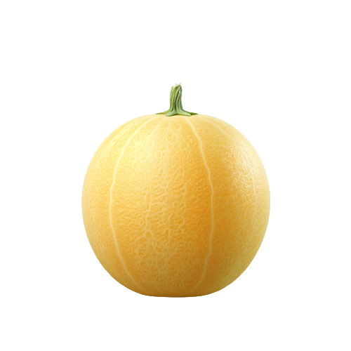 Melon