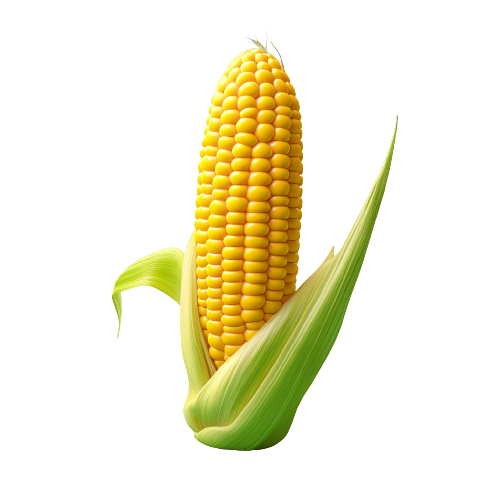 Corn