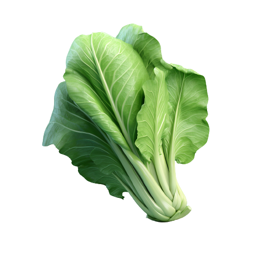 Bok choy
