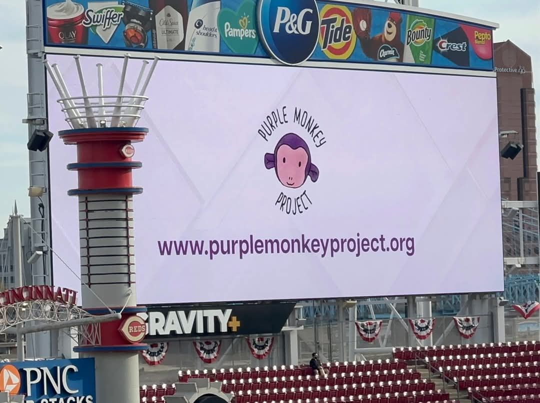 Purple Monkey Project Night at Great American Ballpark