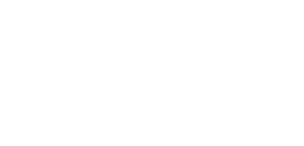 Логотип партнера: Фундація ZMIN