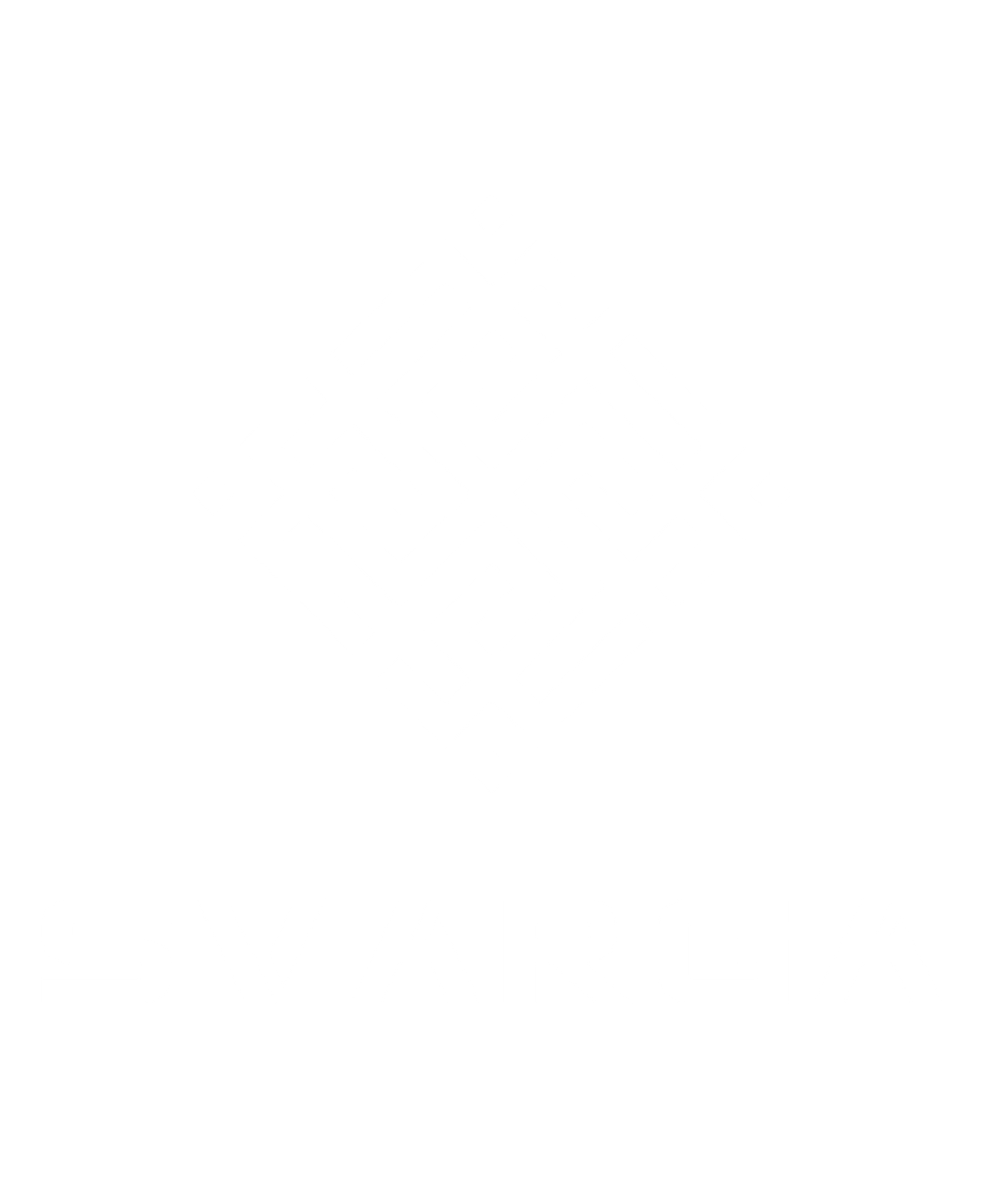 Логотип партнера: SVARGA