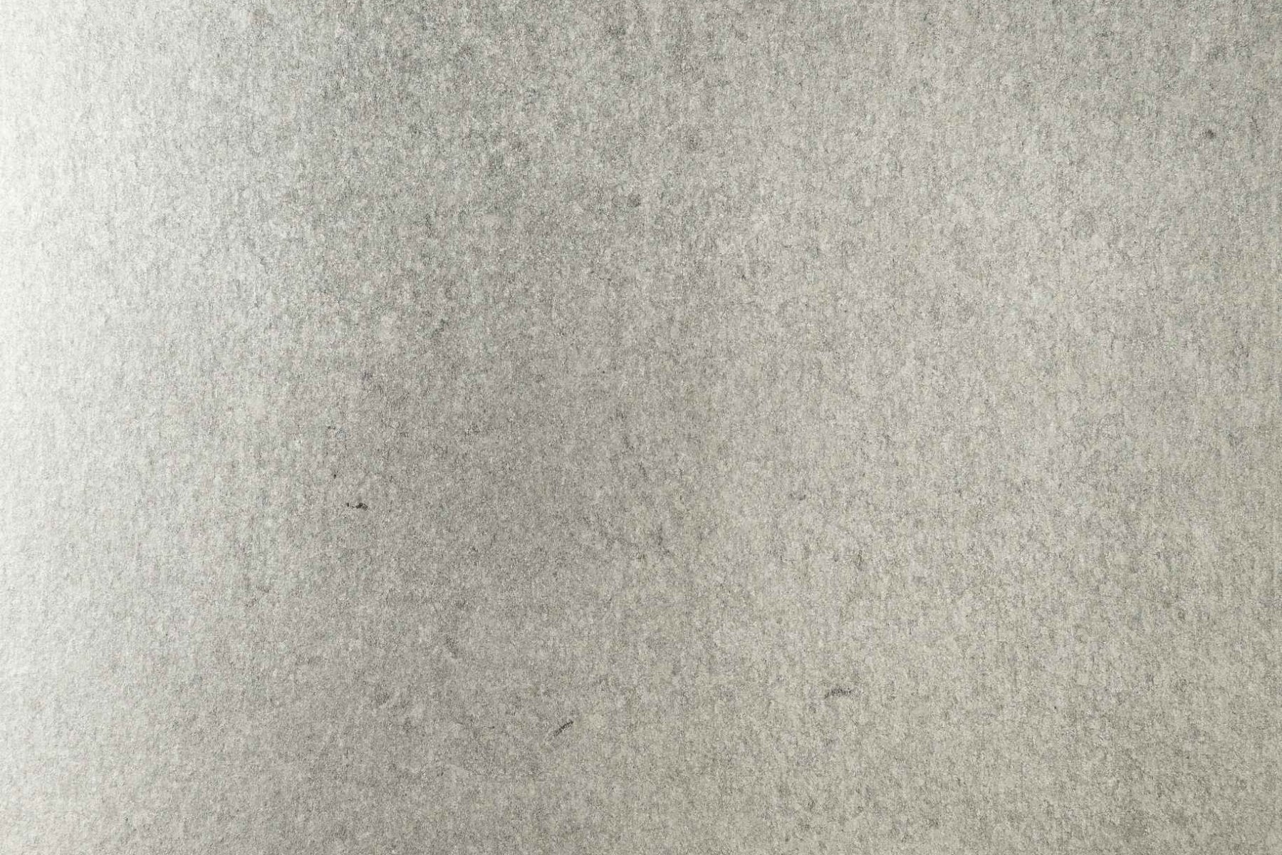 Gracie, image size:1800x1200