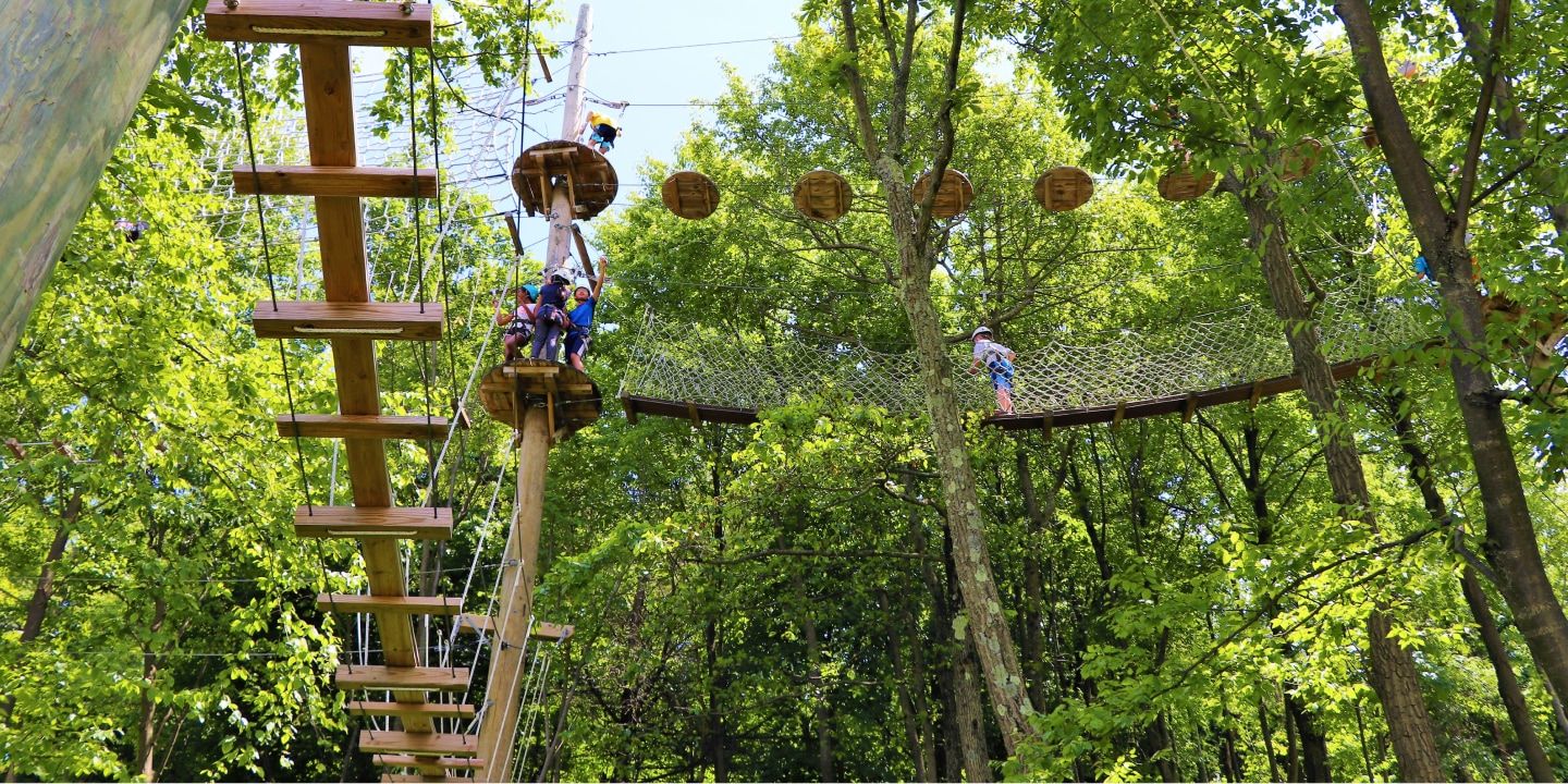 Forest ropes course
