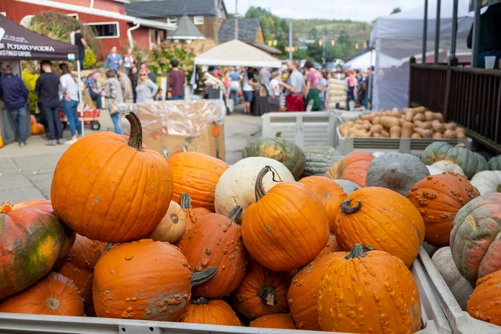 Fall Festivals & Things to Do in the Poconos: Your 2026 Guide