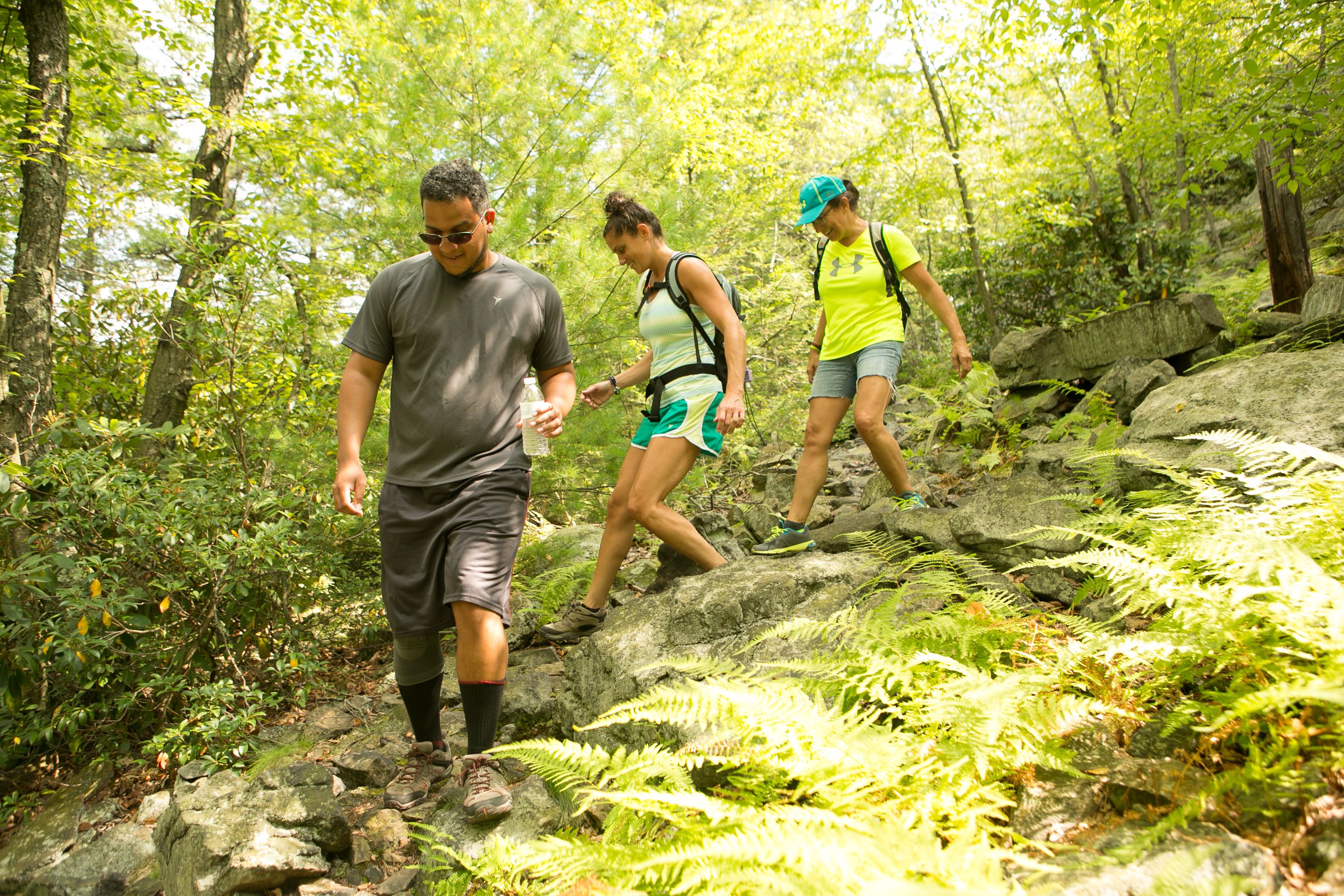 Group hiking trail