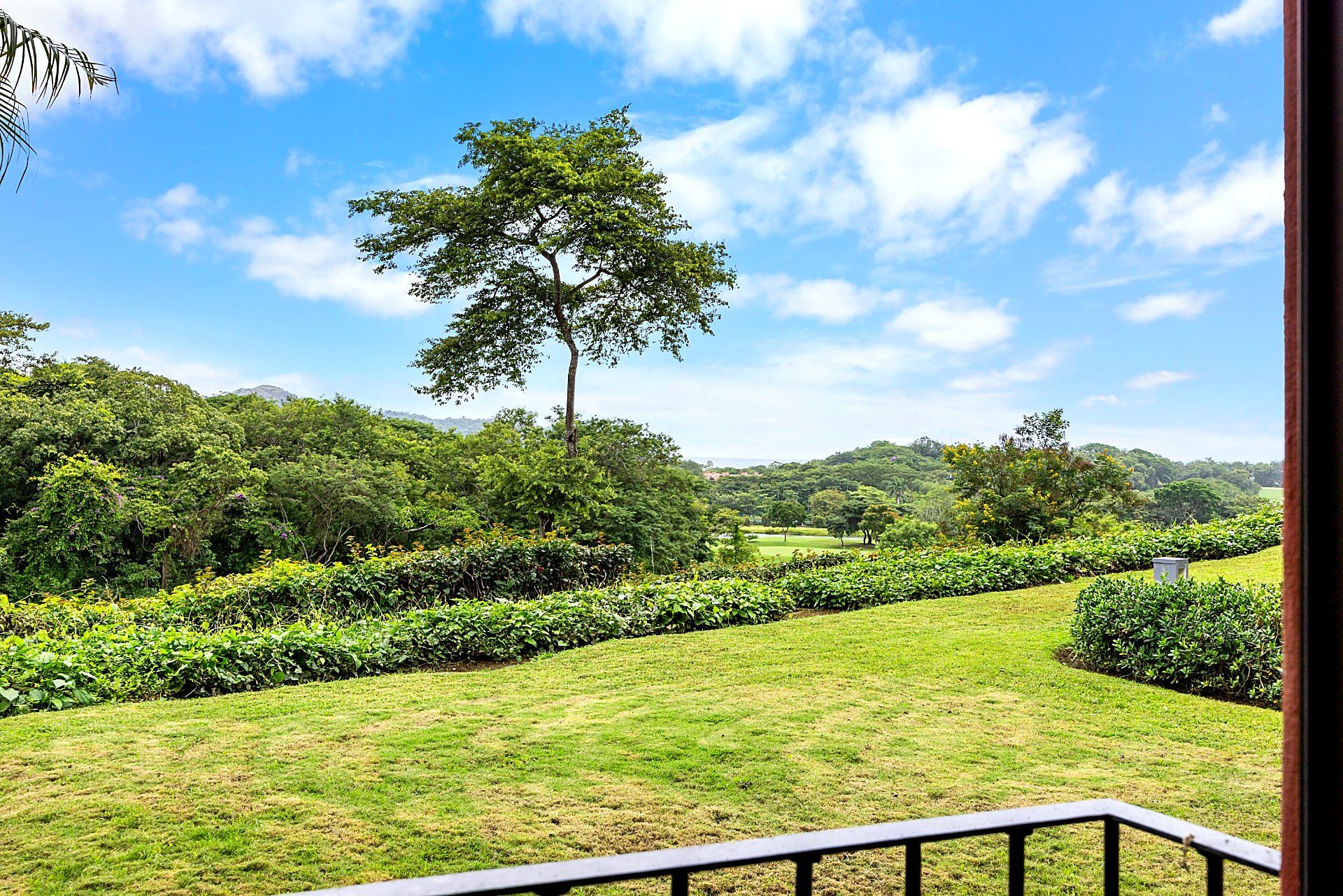 Bougainvillea 8101 terrace garden view