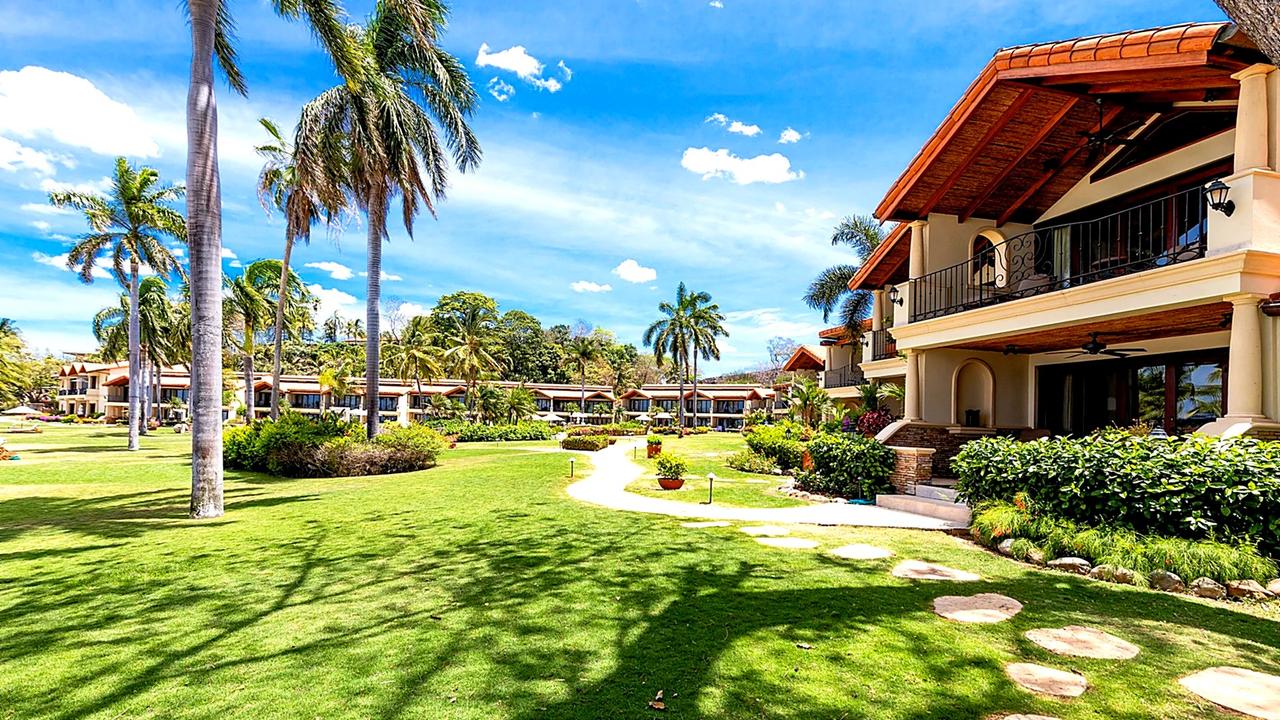 The Palms #33 tropical garden lawn