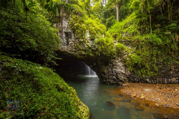 The Natural Bridge - Springbrook National Park | Club 4x4