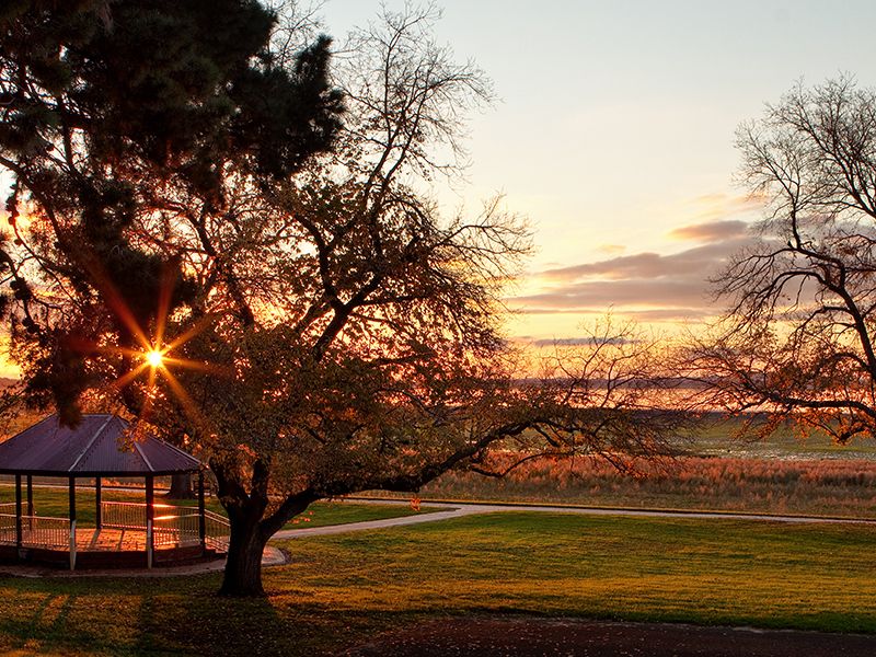Sunset at park