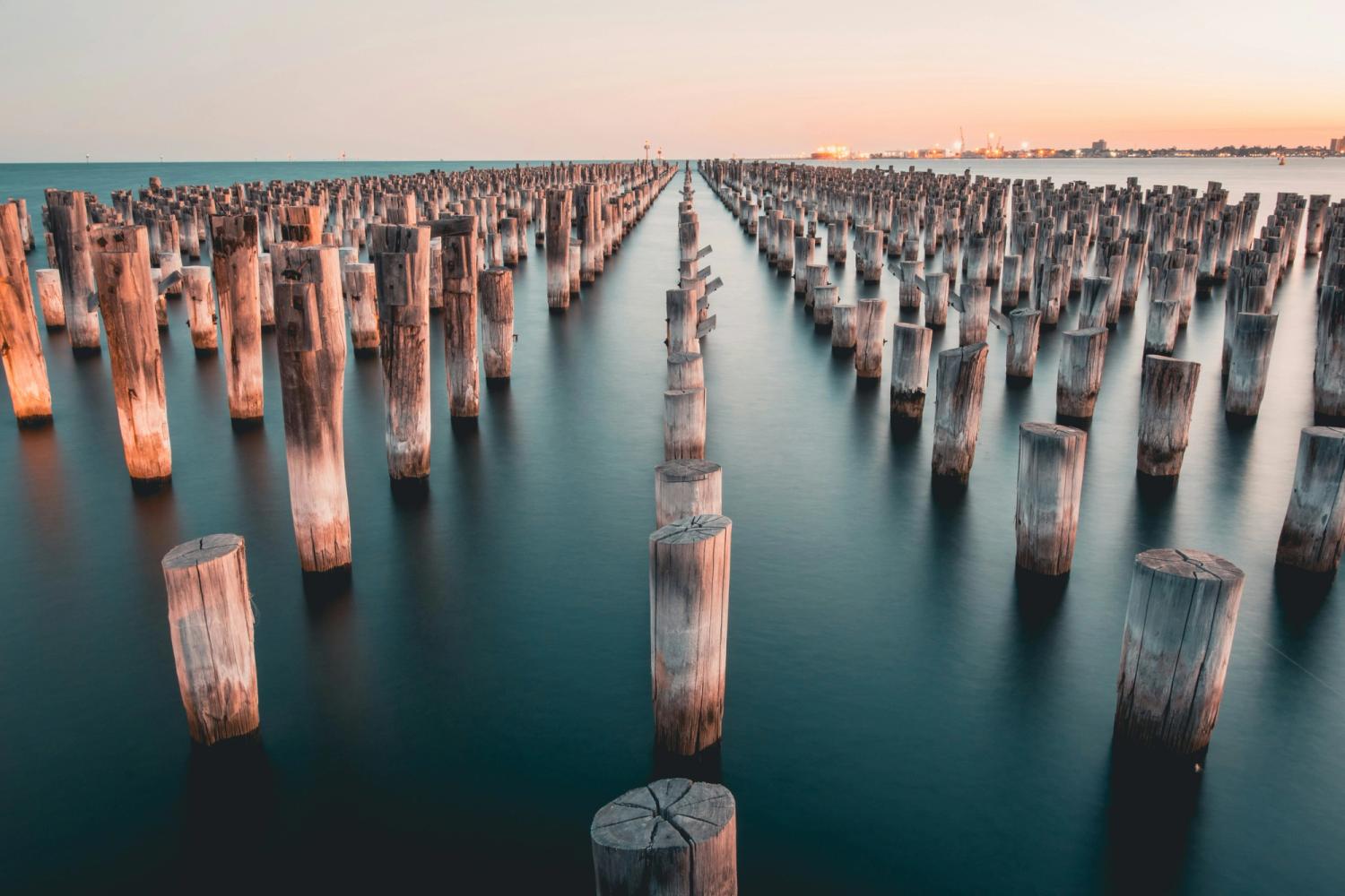 logs in water