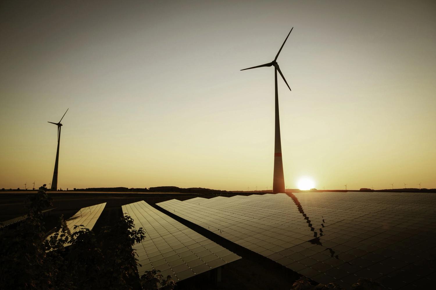 wind farm with solar panels