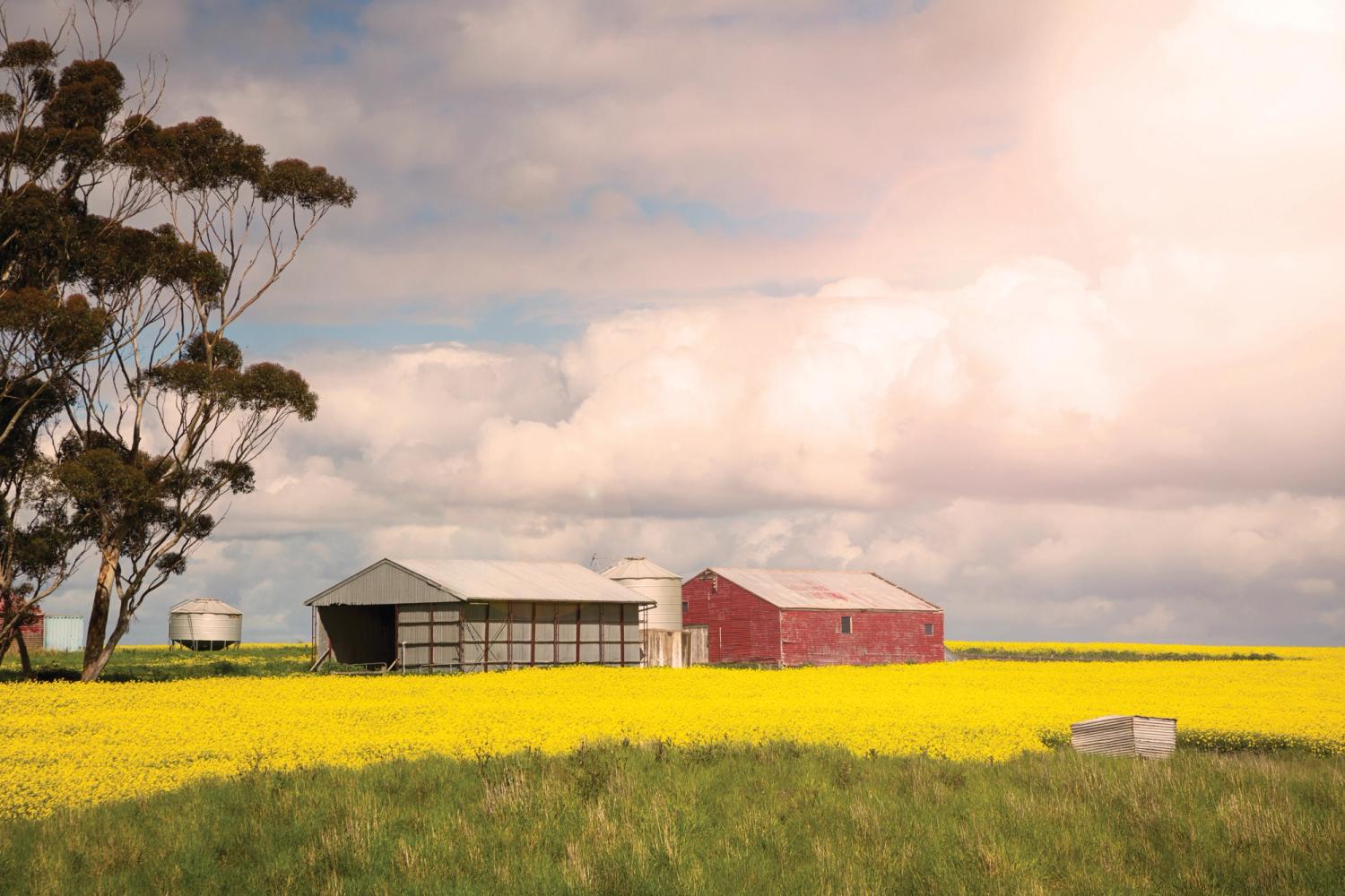 Farm Insurance