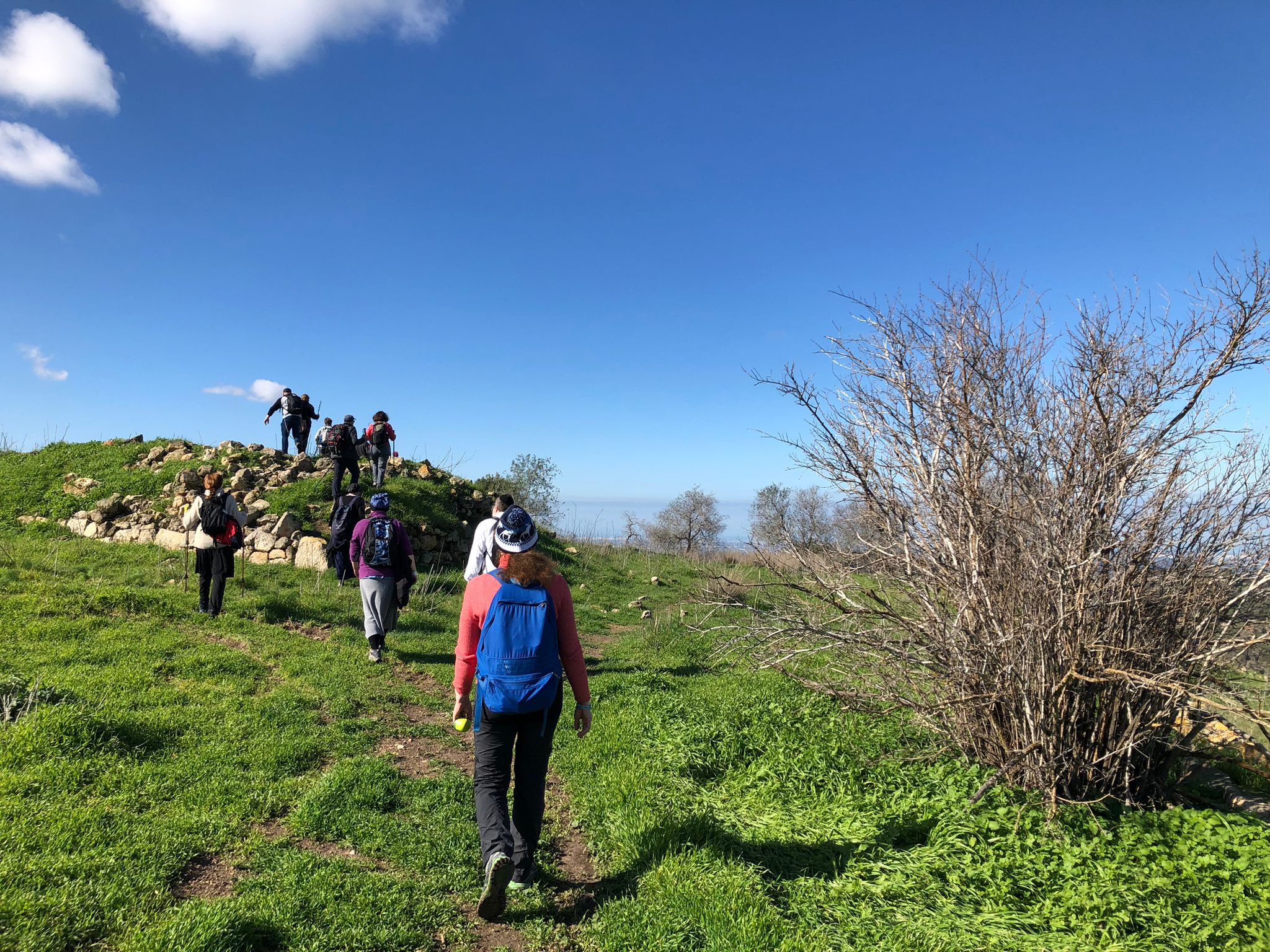 Верхопятница -  Лес Святых