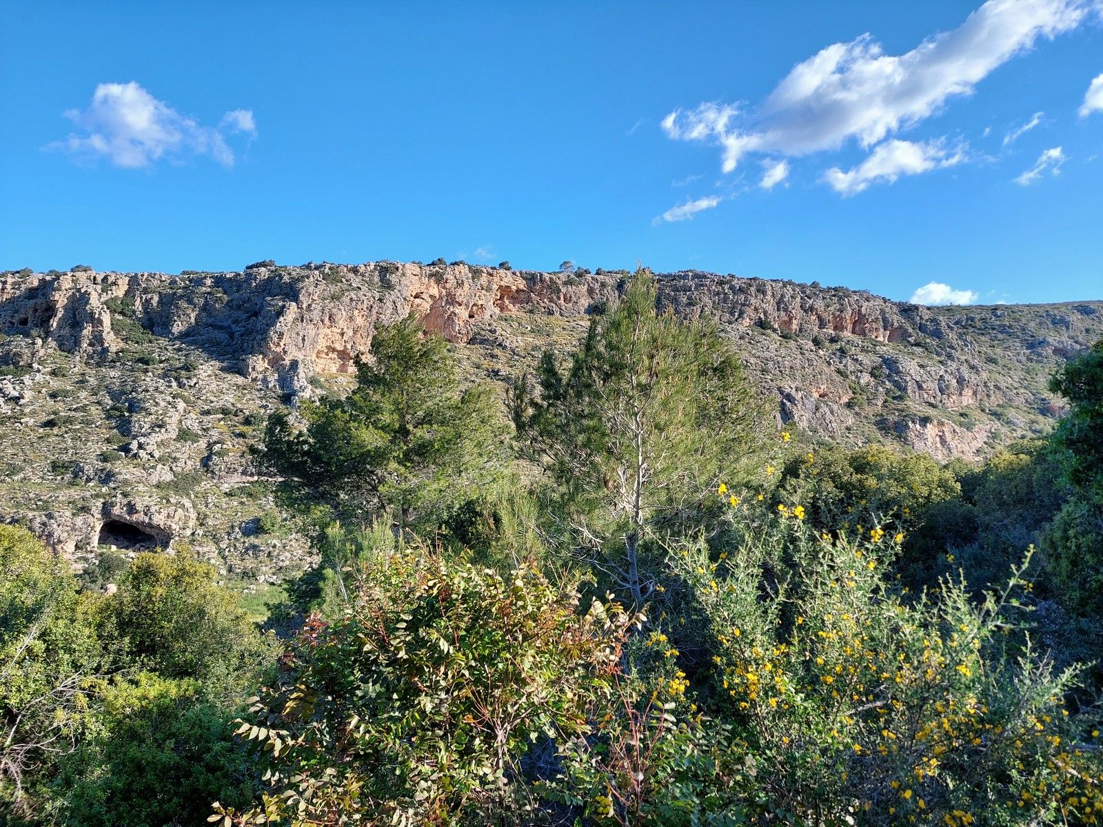 Орен — Нахаль Меарот