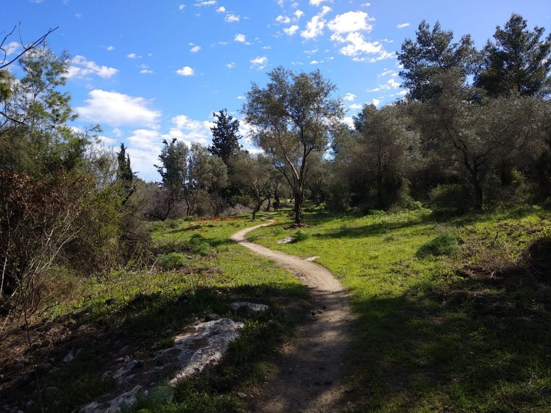 Верхопятница - От Мицпе Месуа до Бейт Говрин 