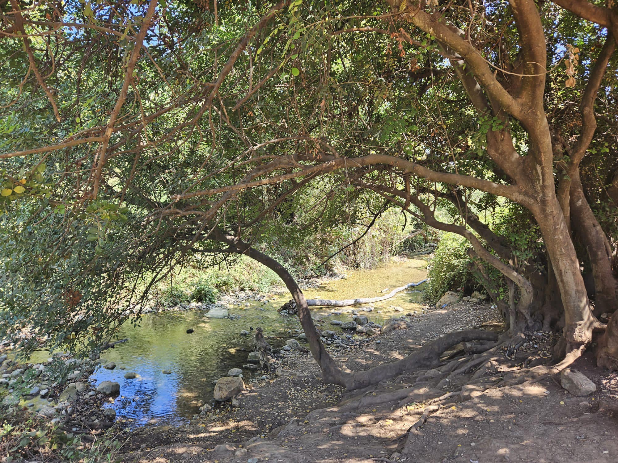 От моря до моря часть 1 - Ахзив до Моста Элькош