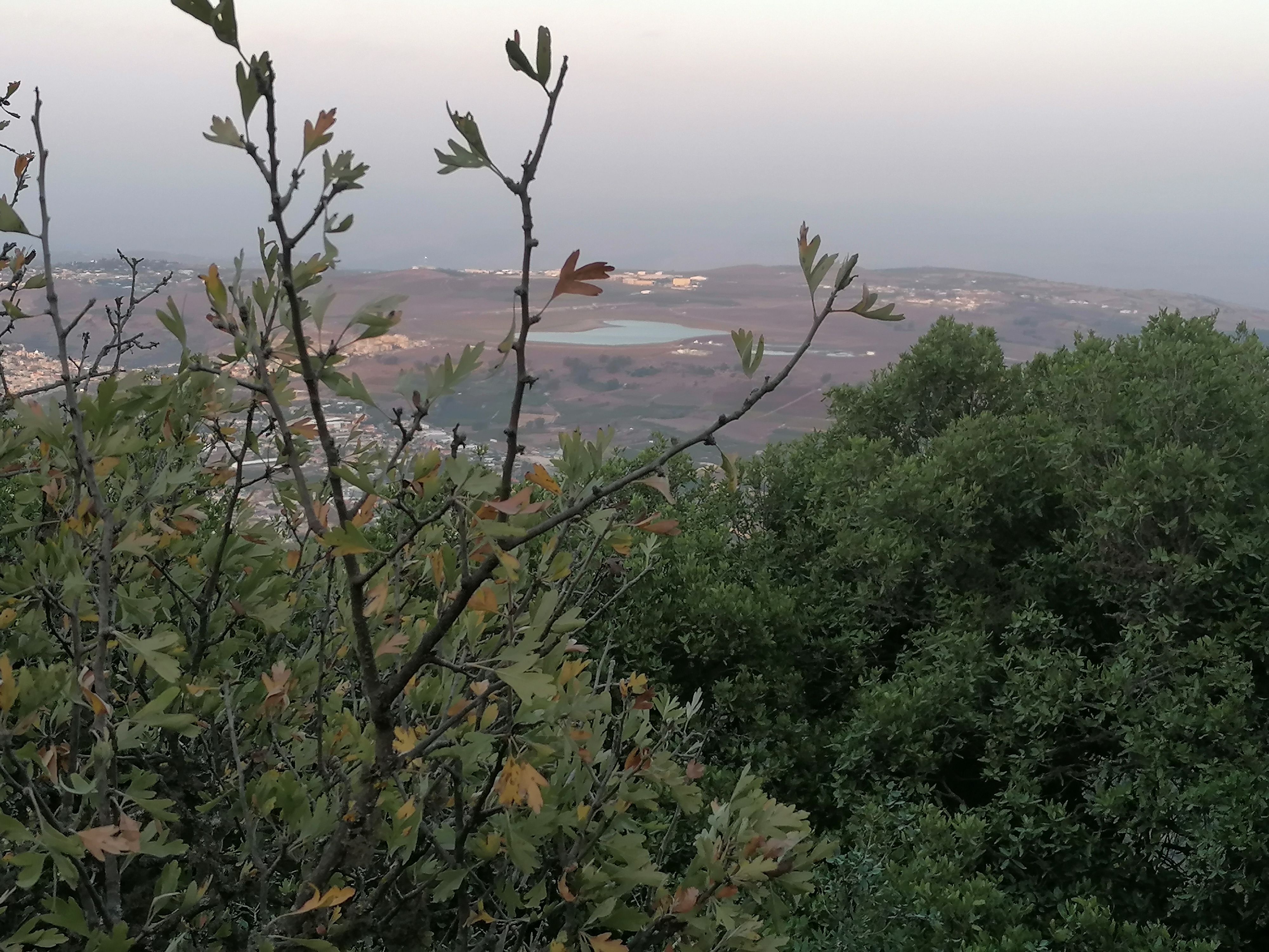 Нахаль Амуд — гора Мерон