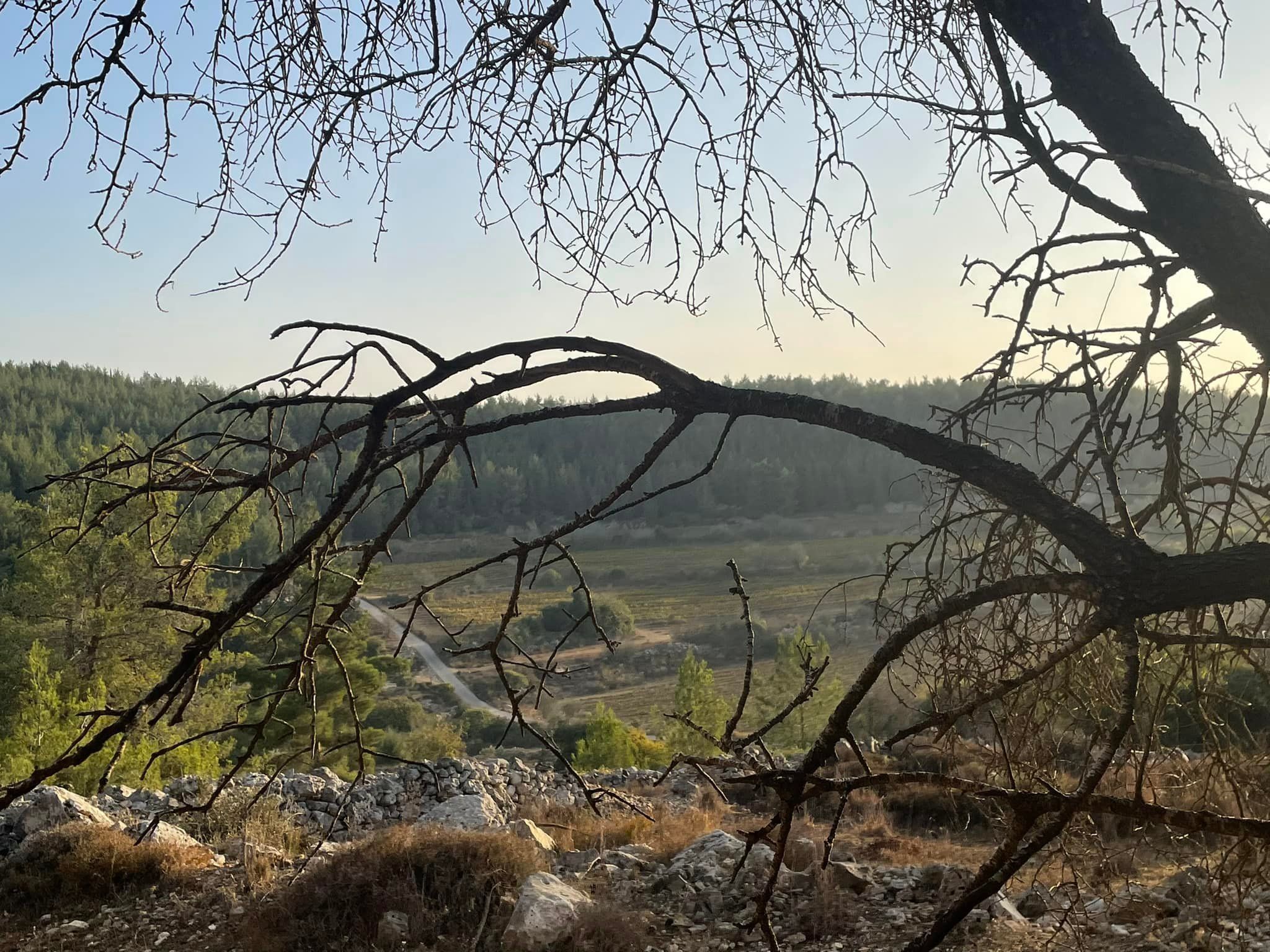 Другой Сатаф 