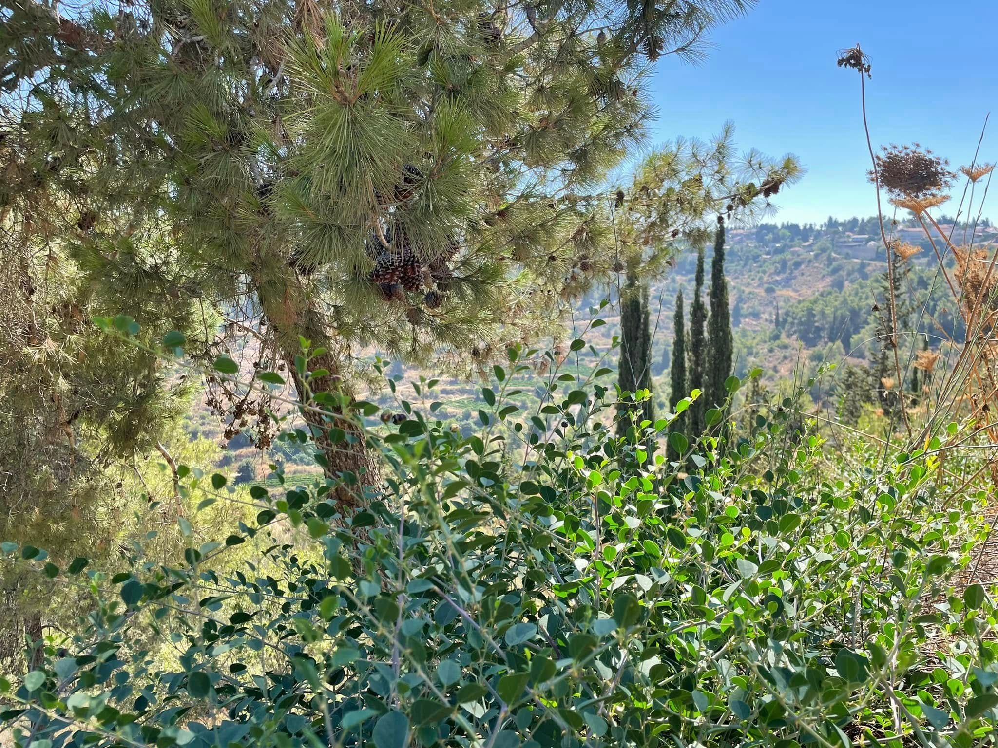 Дорога источников