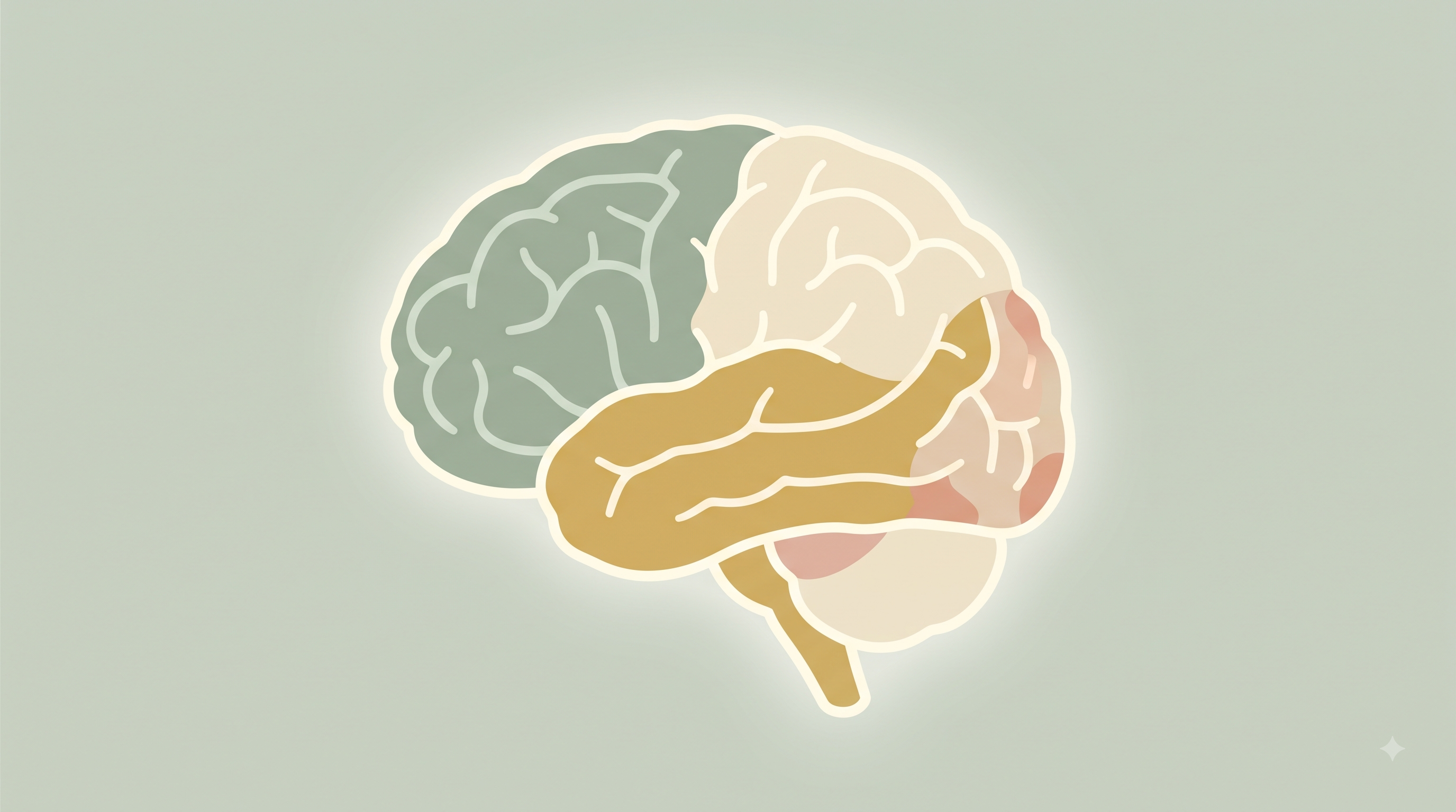 Calm illustration of one brain divided into distinct facets, representing the different types of dementia under one umbrella.