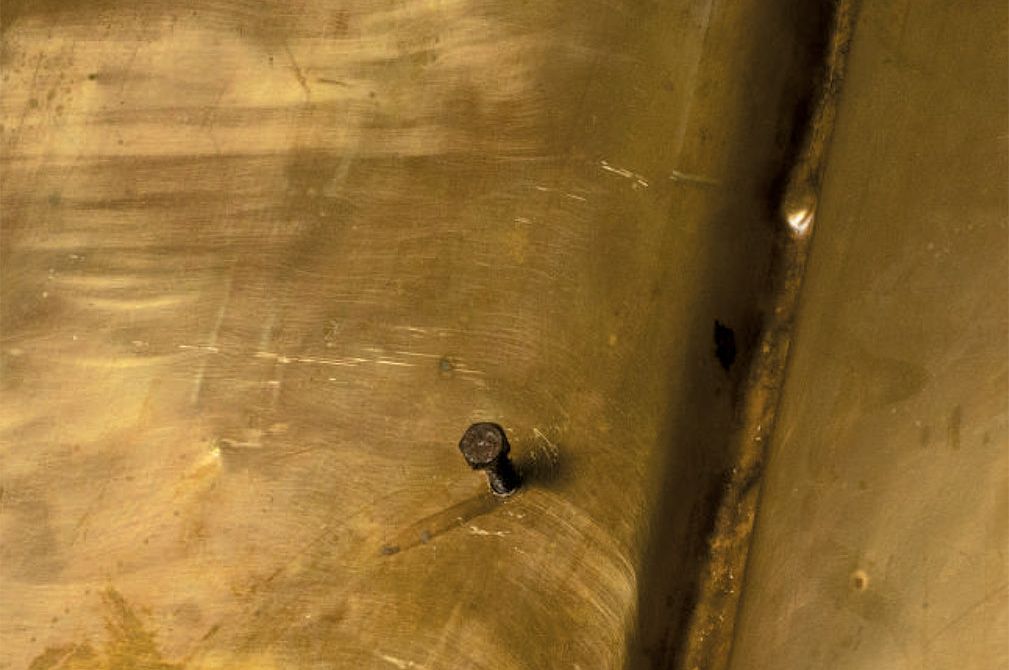 GENTLE GRASS by Anisuzzaman Faroque