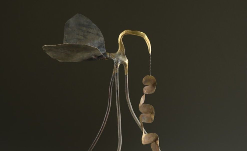 GENTLE GRASS by Anisuzzaman Faroque