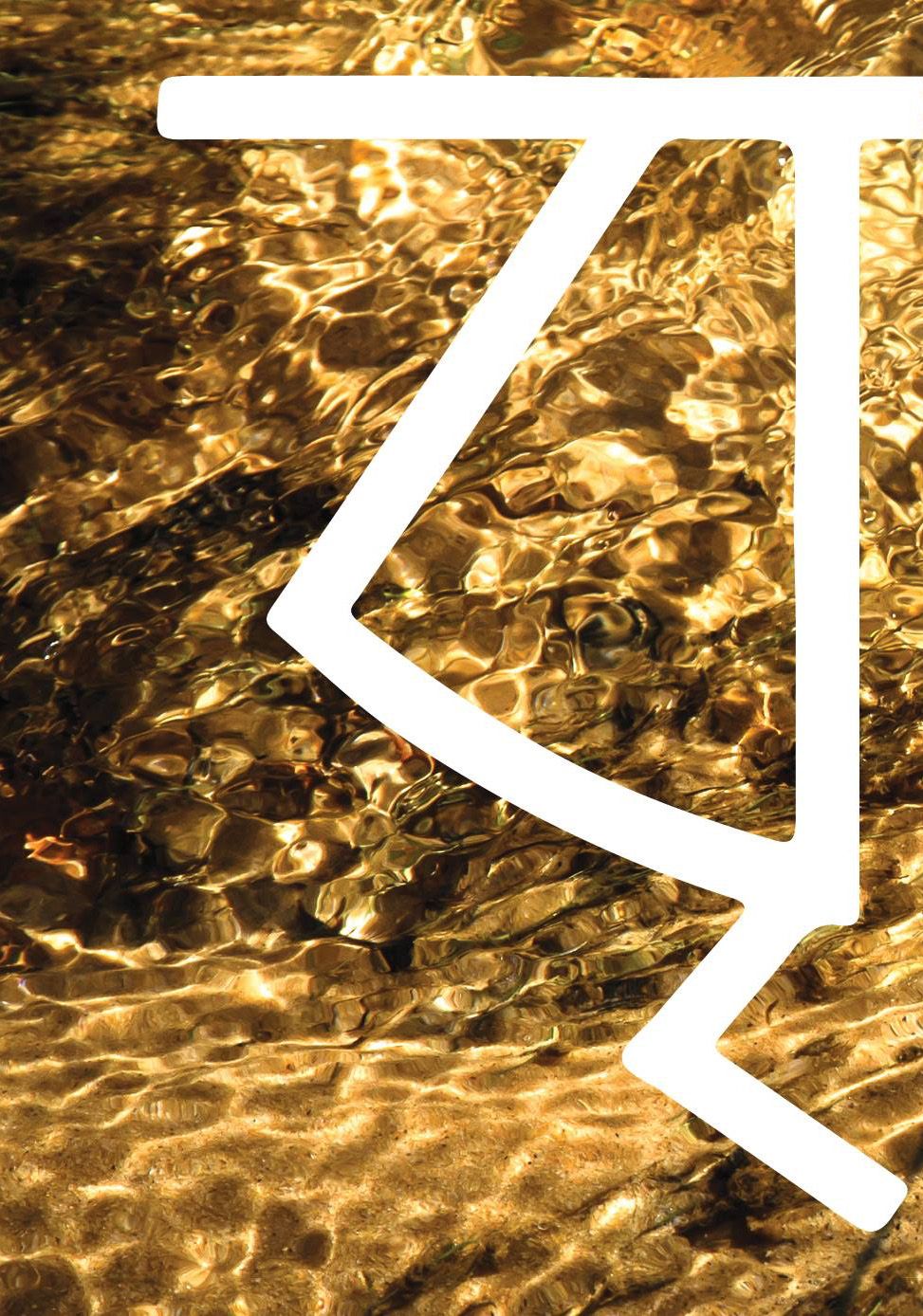 বৃহত্ত্ব / IMMENSITY