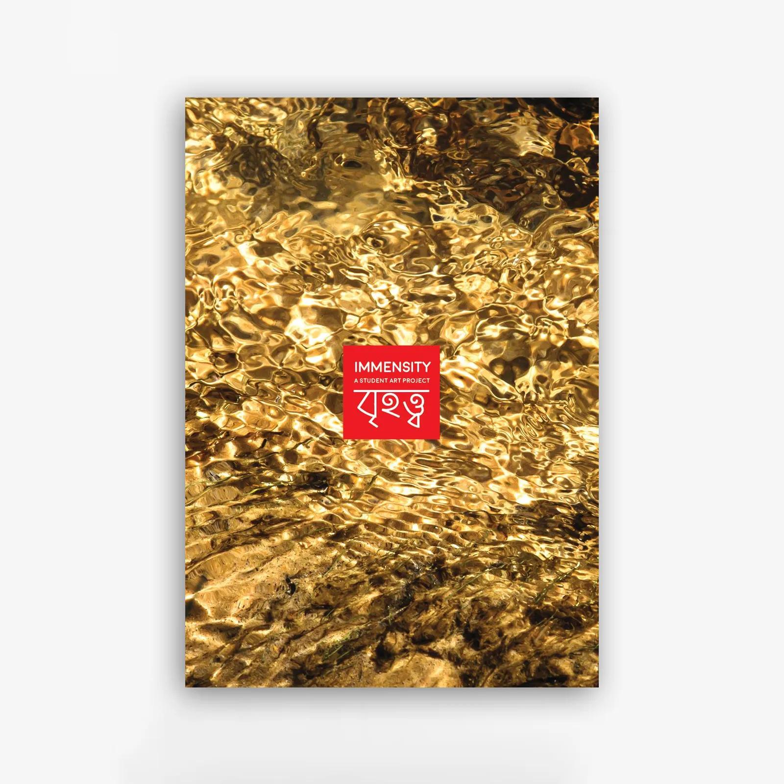 বৃহত্ত্ব / IMMENSITY