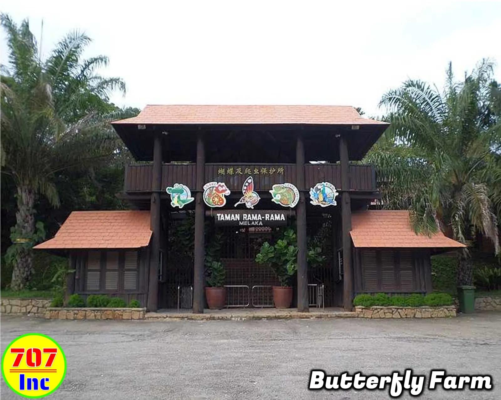 Butterfly Farm