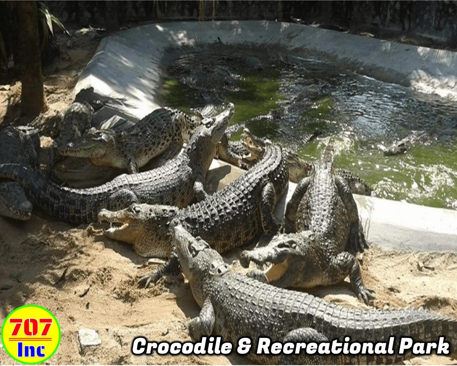 Crocodile & Recreational Park