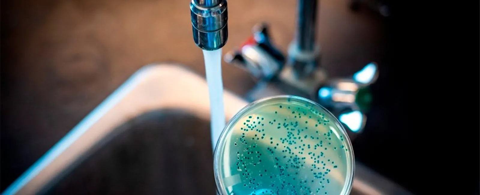 Purificador com Eficiência Bacteriológica: Entenda quando é indicado