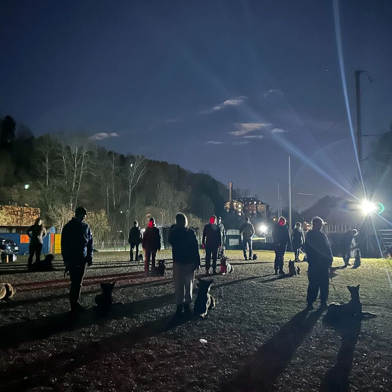 Hundetraining Aathal