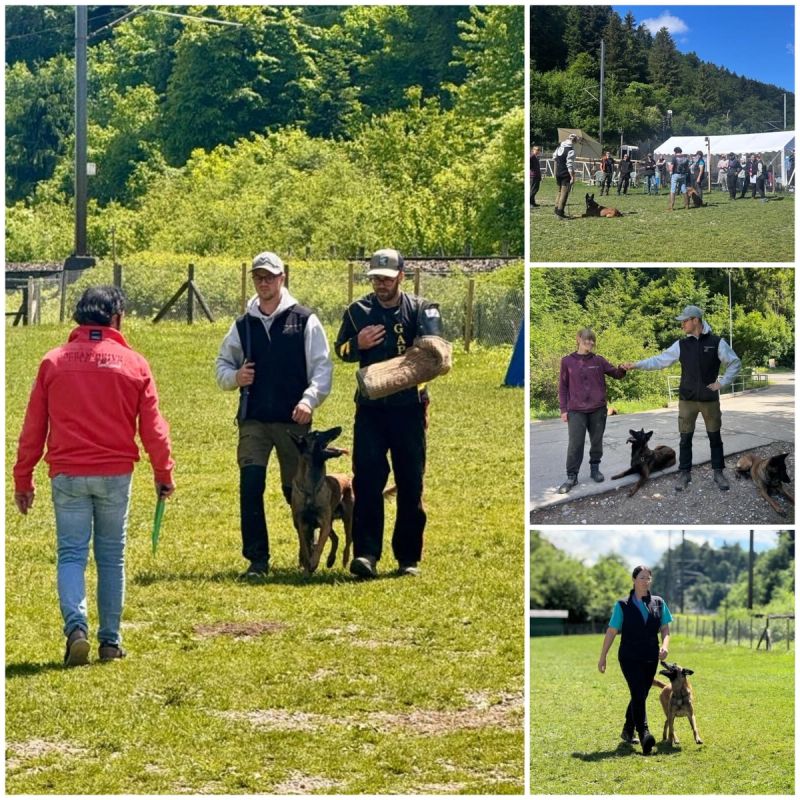 Hundesportprüfung 17. Mai 2026, HSV ABRI