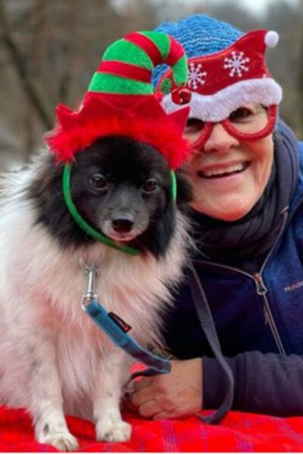 Zwischentraining Weihnachtsferien mit Co-Trainer