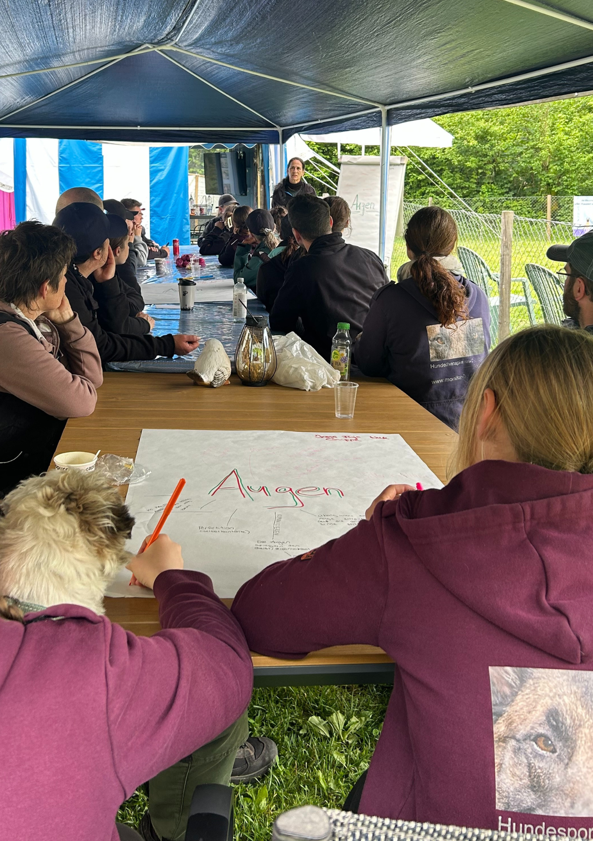 Theoriekurs - obligatorisch seit 01.06.25