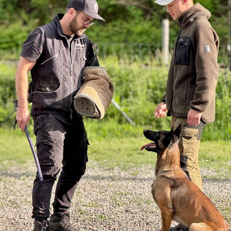 Training