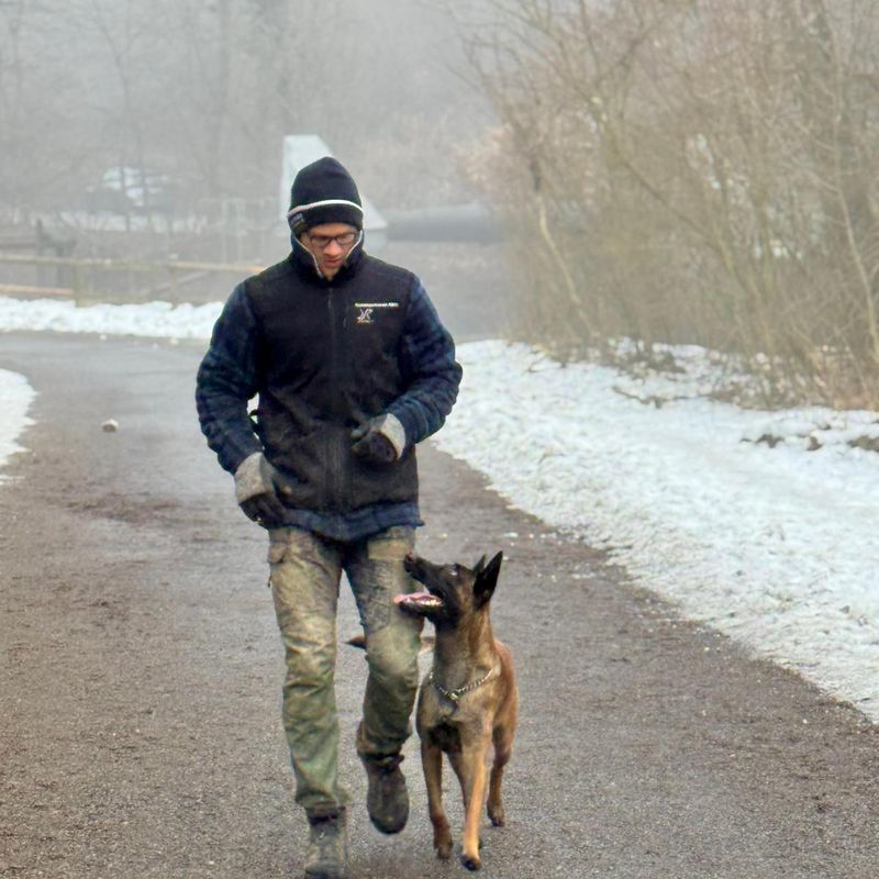 Training Hundeschule