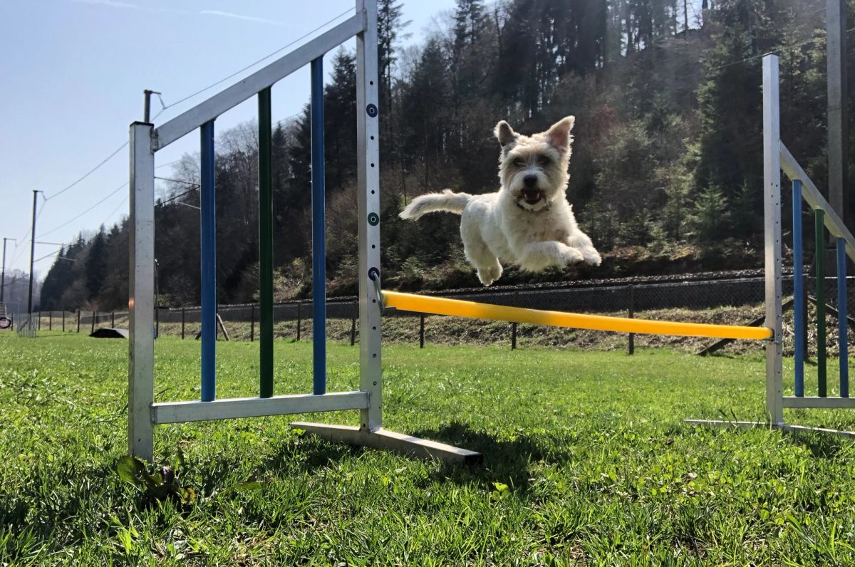 Agility