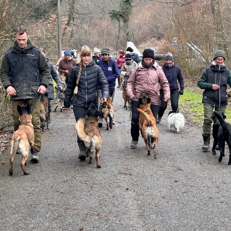 Hundetraining Aathal