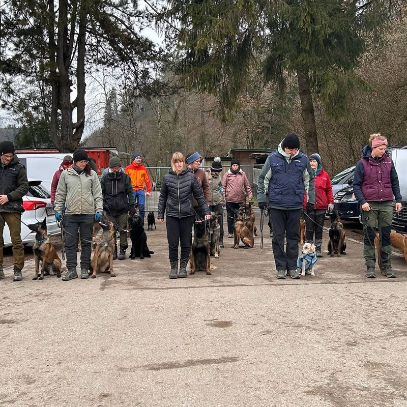 Hundetraining Aathal