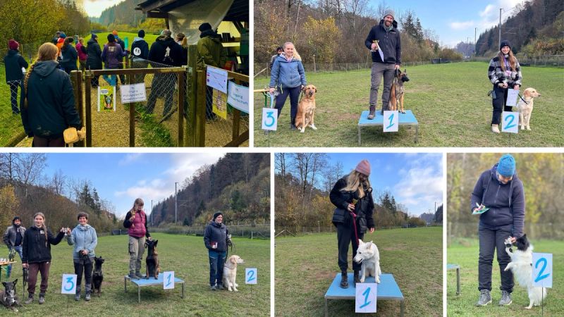 Hundesportprüfung 24. September 2025, HSV ABRI