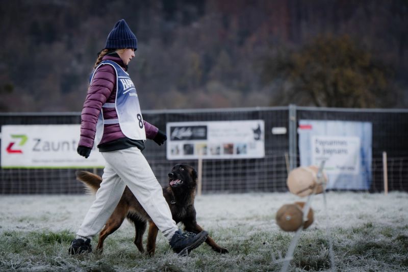 Hundesportprüfung 2026 Q1